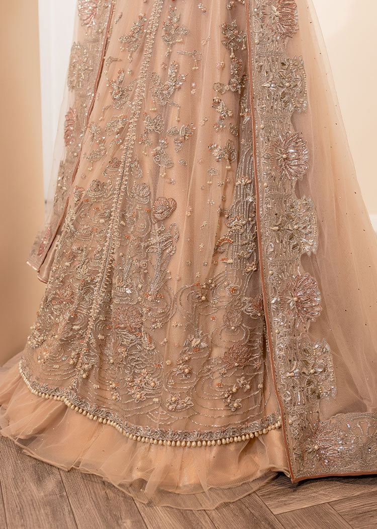Asha - Image 3