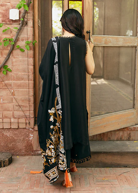 Black Olive - Image 4