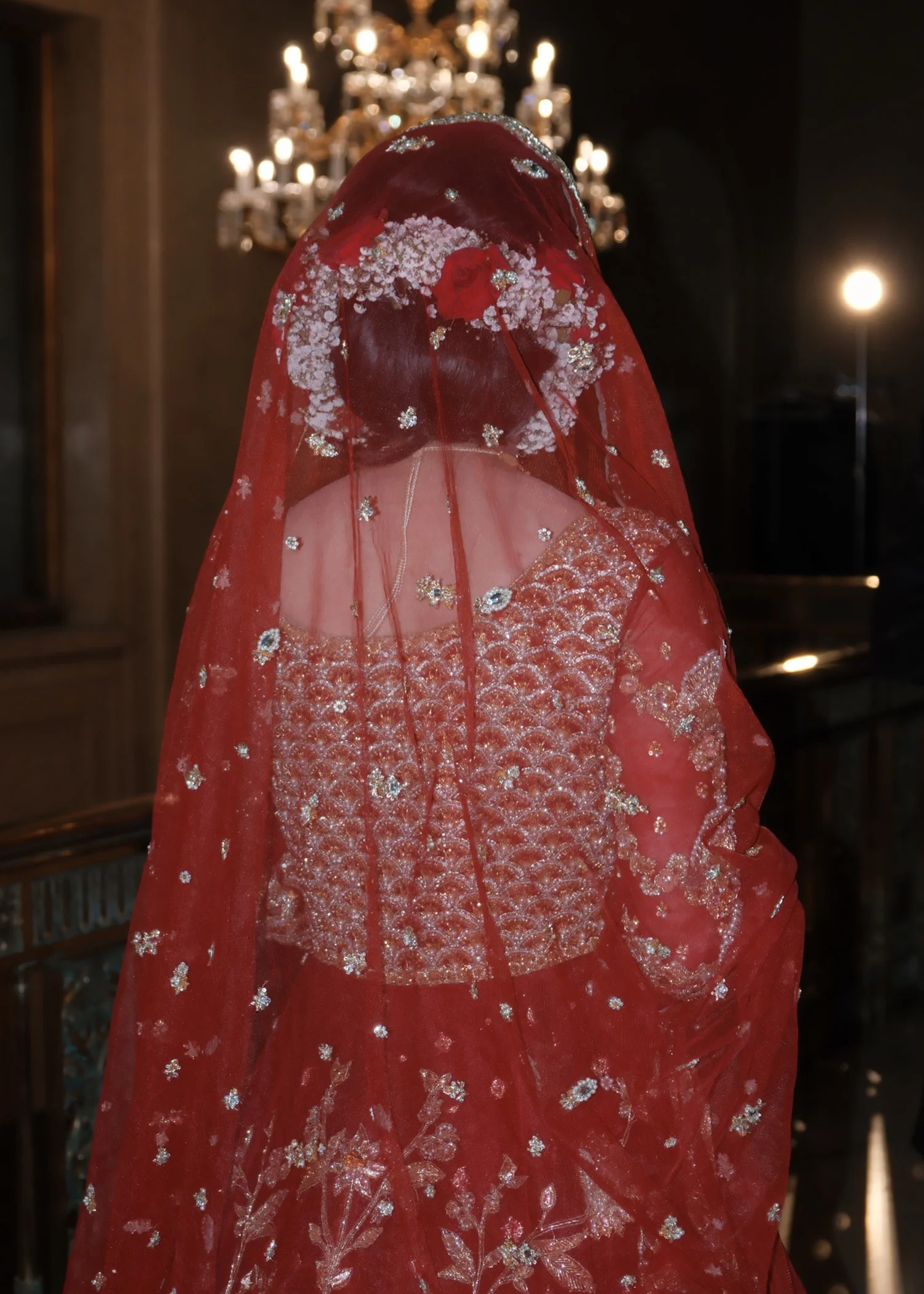 Red Beauty - Image 4
